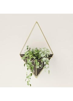 Trigg Hanging Planter Large 470752 1137 Black Brass - pzsku/Z68995EEF3214C71DF587Z/45/_/1722927799/be27672a-9d98-49b5-9c3a-cdfe0a810344