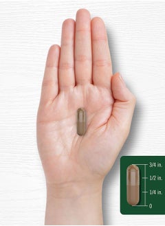 CARLYLE Valerian Root 2400mg - 240 Quick Release Capsules  - Image 4