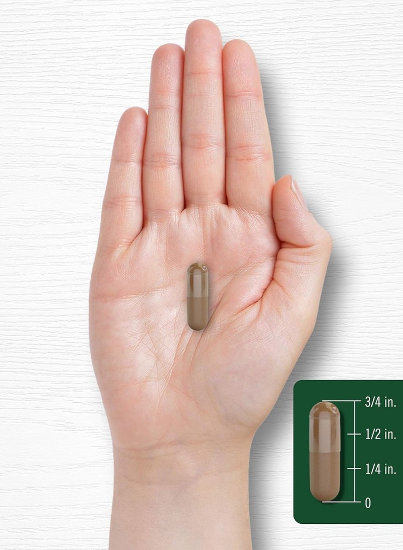 كبسولات جذر فاليريان أعلى فعالية لكل كبسولة - Image 4