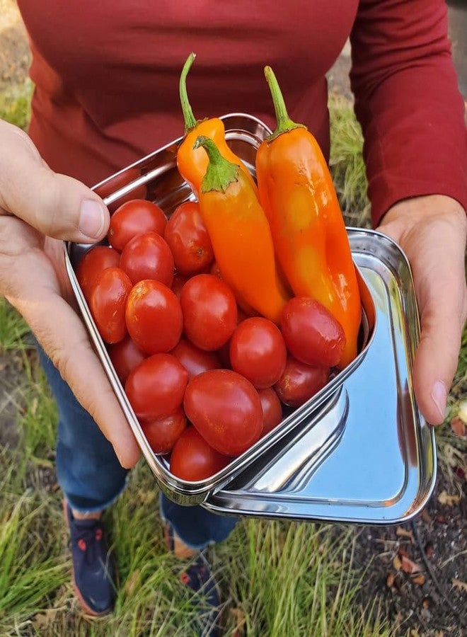 ECOlunchbox صندوق الغداء ECOlunchbox Solo Cube | حاوية تخزين طعام مربعة من الفولاذ المقاوم للصدأ | 5.25 × 5.25 × 2 بوصة (13 × 13 × 5 سم) | تحمل 2.5 كوب (21 أونصة، 620 مل) من الطعام | علبة معدنية متينة للغداء والوجبات الخفيفة - Image 4