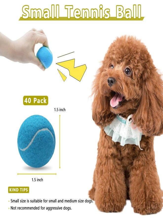 Magicorange مجموعة ماجيك أورانج من 40 كرة تنس صغيرة تصدر صوتاً، كرات تنس للكلاب مقاس 1.5 بوصة، كرات ملونة سهلة الإمساك للعب الكلاب (متعددة الألوان، 1.5 بوصة) - Image 2