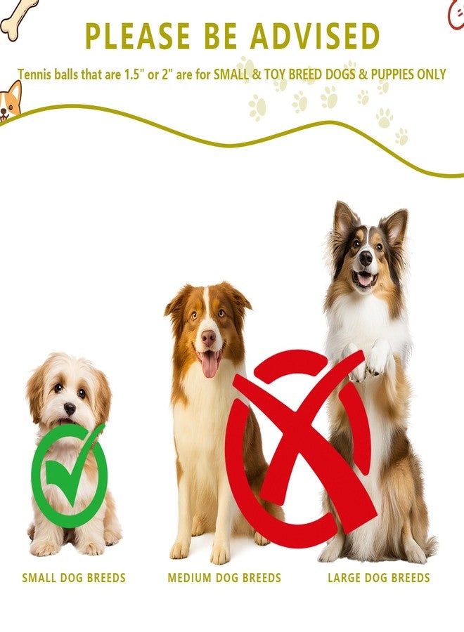 Magicorange مجموعة ماجيك أورانج من 40 كرة تنس صغيرة تصدر صوتاً، كرات تنس للكلاب مقاس 1.5 بوصة، كرات ملونة سهلة الإمساك للعب الكلاب (متعددة الألوان، 1.5 بوصة) - Image 4