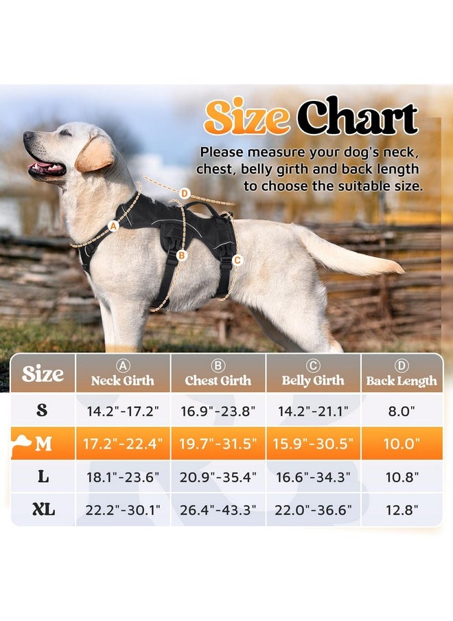 حزام كلب مقاوم للهروب من rabbitgoo، حزام ناعم مبطن لكامل الجسم للحيوانات الأليفة، سترة عاكسة قابلة للتعديل بدون سحب مع مقبض رفع ومشبك مقود للكلاب الكبيرة أثناء المشي والتدريب على المشي لمسافات طويلة، مقاس M، أسود - pzsku/Z689D3FBE9268CB69117BZ/45/_/1736426705/947ffc32-f255-415d-afb3-9ab4fa6a77d5