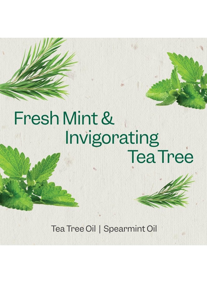 Renpure Llc Tea Tree Mint Oil & Coconut Vitamin E Sulfate Free Moisturizing Body Wash For Dry Sensitive Skin Antibacterial Body & Hand Soap For Men Women Kids & Toddlers White 24 Oz - Image 3