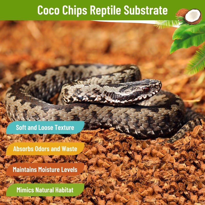 Riare 2 Pack Natural Coconut Chip Substrate for Reptiles- Compressed Coconut Husk Reptiles Bedding, Coco Husk Chip Terrarium Substrate for Snakes, Tortoises, Ball Python, Frogs, Bearded Dragon, Lizard - Image 5
