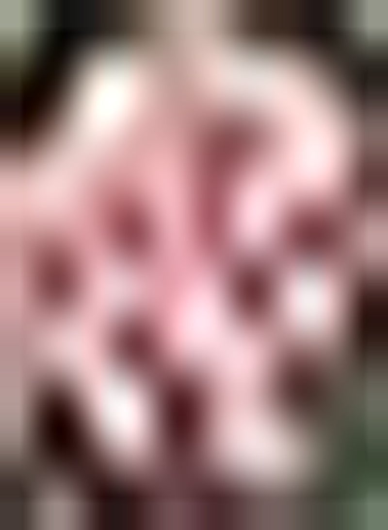 جي جوت 20 قطعة من نباتات الورد الوردية زادن واسعة يمكن أن تكون كلمة gebruikt ALS prachtige boeketten of snijbloemen weinig moeite met planten geliefd bij bloemisten Gemakkelijk te planten - Image 2