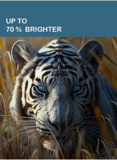 سرين شاشة سمارت 32 بوصة - نظام تشغيل أندرويد - HD - LED - بدون إطار  - SRET-32S1  - Image 2