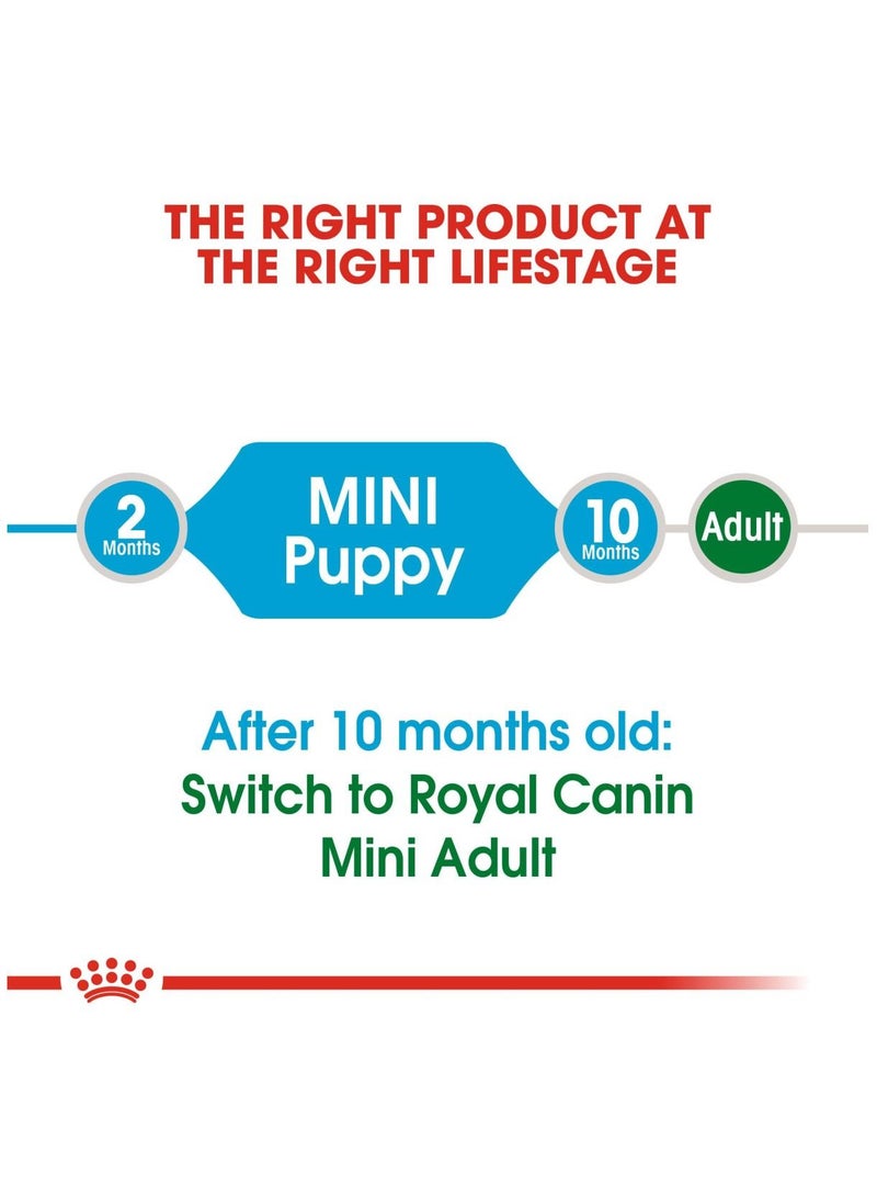 ROYAL CANIN Mini Puppy Dry Food 800g - Image 2
