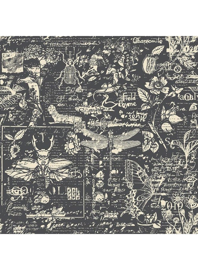 REDAMANCY Ash Black Grey Insects Animals Speimen Sketch Abstract Art Modern Peel and Stick Wallpaper Stick on Contact Paper Wall Paper Easy Peel Off for nightstand Drawer Cabinet Renter - Image 1