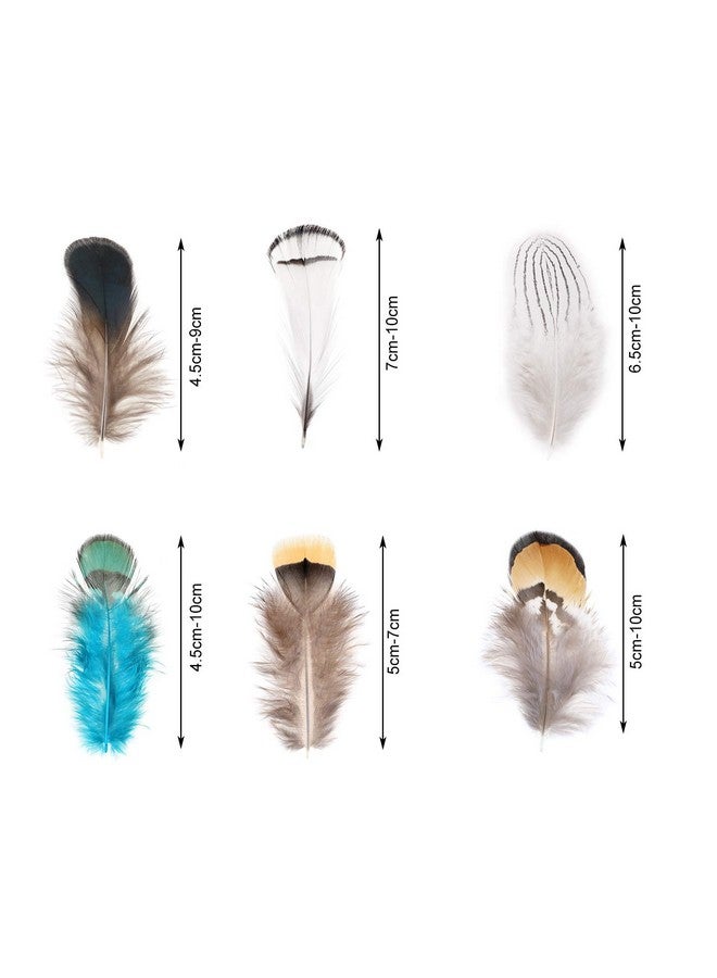 MWOOT 6 Styles Assorted Crafts Feathers, 120Pcs Diy Dreamcatcher Crafts Art Decor Feathers, Diy Earring Wings Carnival Party Mask Activities Project Accessories Small Feather - Mixed Green White Brown - Image 3