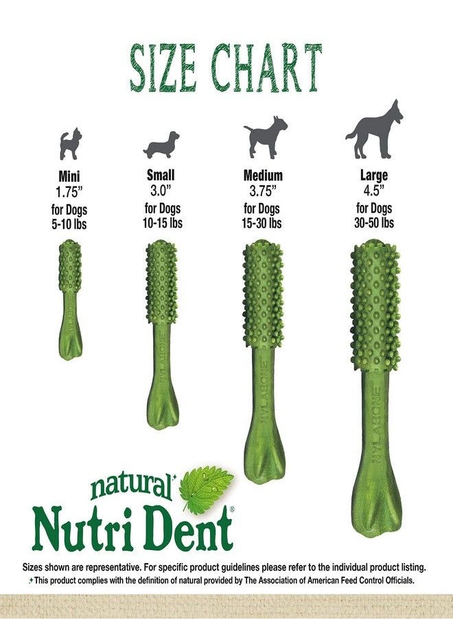 Nylabone Nylabone Nutri Dent Natural Dental Fresh Breath Flavored Chew Treats Medium (20 Count)  - Image 2