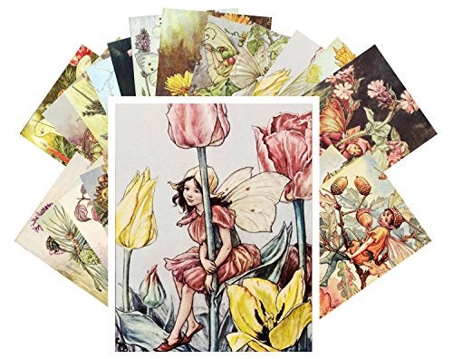 PIXILUV Vintage PostCards 24 pcs Flower Fairy Vintage Book Illustrations - Image 5