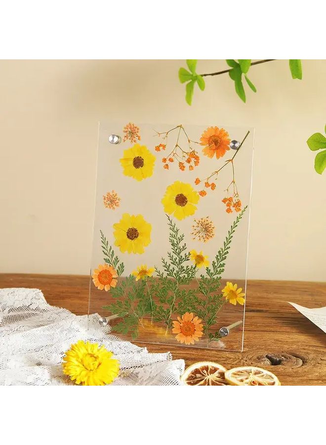 Creative Handmade Dried Flower Pressed Specimen Minimalist Acrylic 6 Inch Frame Wall Art Home Decor Artistic Display - Image 5