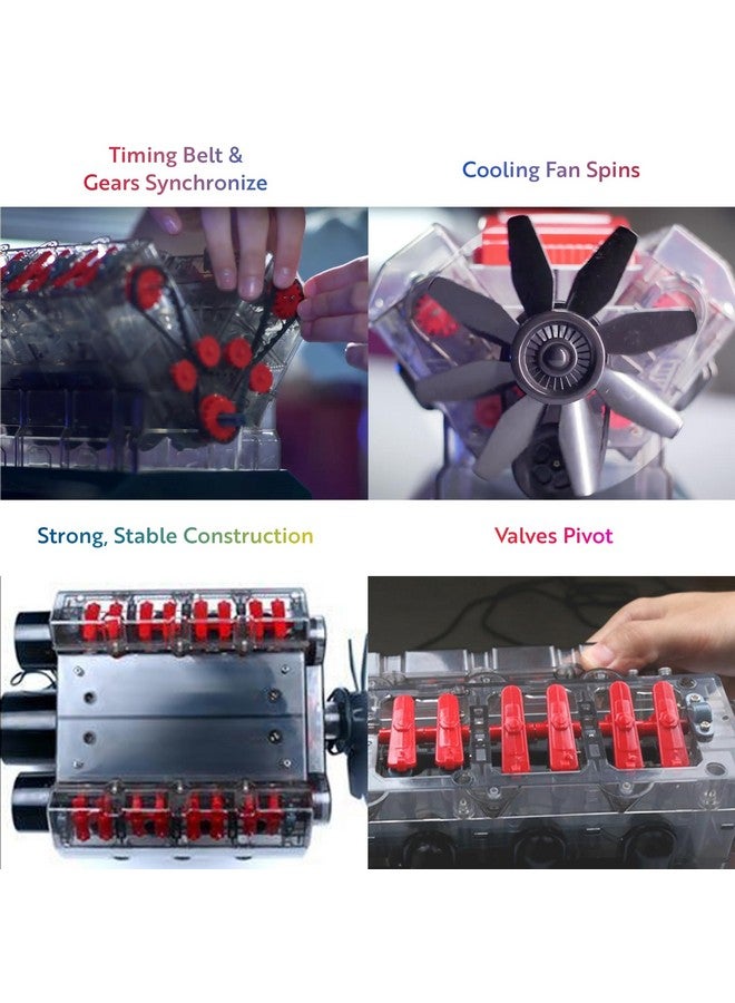Playz V8 Combustion Engine Model Kit That Runs - Build Your Own STEM Mini V8 Model Engine Kit for Adults & Kids Age 12+, Visible V8 Mini Engine Kit That Works for Adult w/ 270 STEM Parts - Image 4