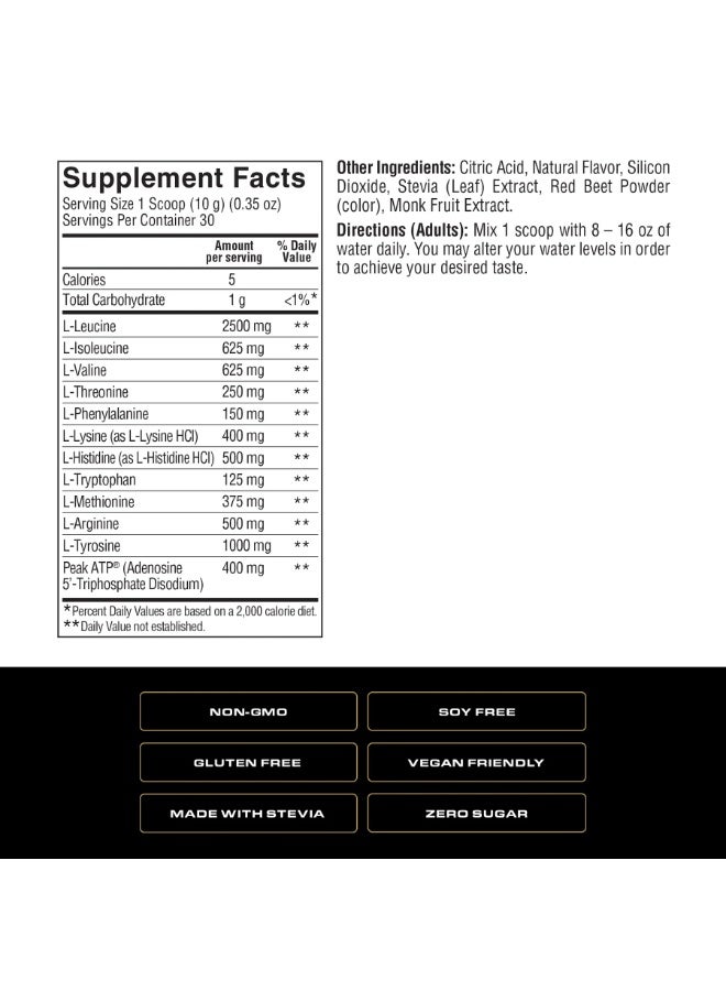 SPOKEN AMINOS+ATP – Fruit Punch (30 Servings) - Image 2