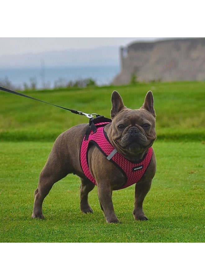 فوييجر حزام مقاوم للسحب، شبك مناسب لجميع الأحوال الجوية بتصميم عاكس للضوء للكلاب والقطط الصغيرة والمتوسطة، تثبيت محكم بشريط لاصق وإبزيم وحلقتين مزدوجتين من بيست بيت سبلايز، فوشيا بدرجتين، متوسط M - Image 3