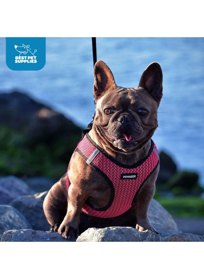 فوييجر حزام مقاوم للسحب، شبك مناسب لجميع الأحوال الجوية بتصميم عاكس للضوء للكلاب والقطط الصغيرة والمتوسطة، تثبيت محكم بشريط لاصق وإبزيم وحلقتين مزدوجتين من بيست بيت سبلايز، فوشيا بدرجتين، متوسط M - Image 2