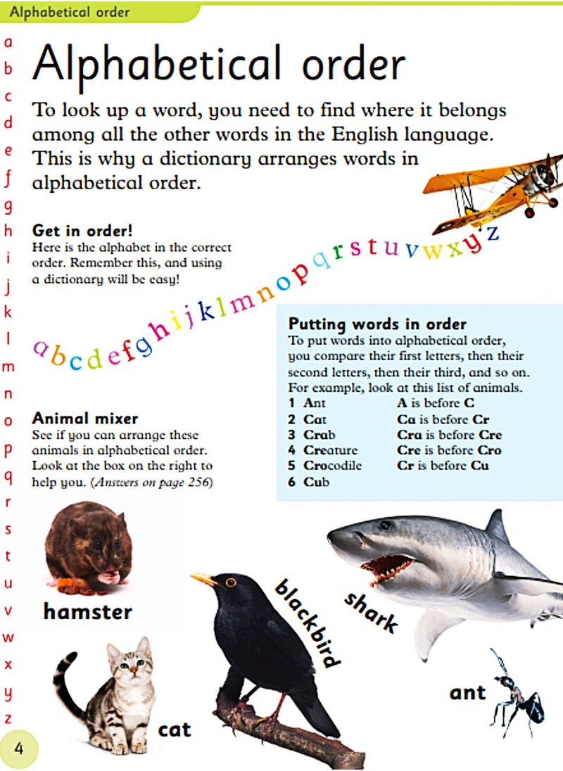 First Children's Dictionary: A First Reference Book For Children  - Image 5