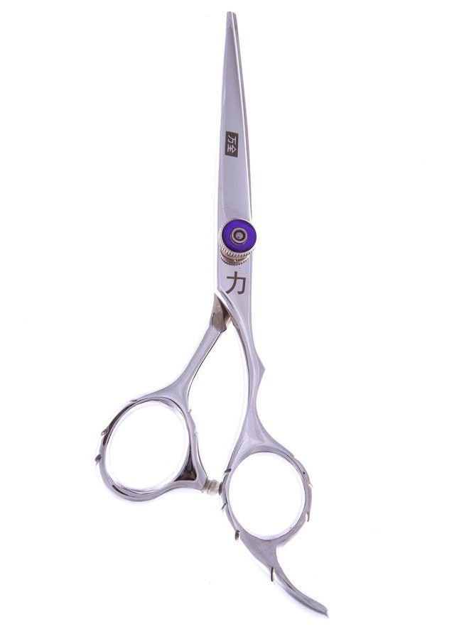 Japanese Stainless Steel Professional Styling Shear, 6.5 Inch, 10 Ounce