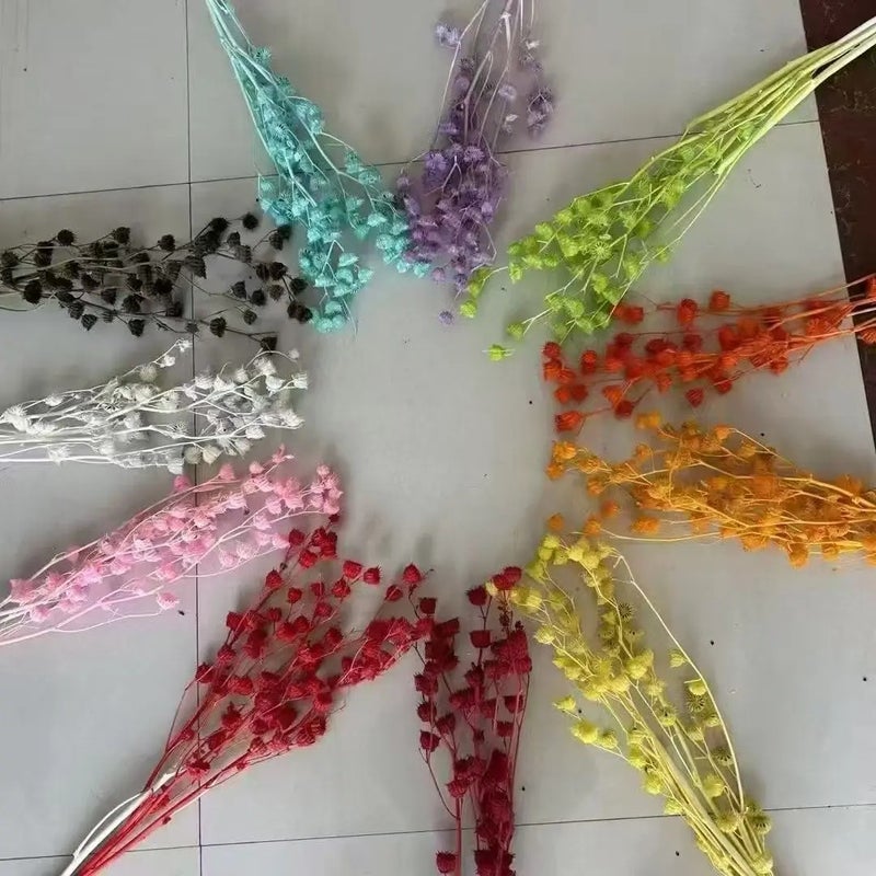 Bluejw Yunnan Dried Flower Rings, Assorted Dried Fruits & Plants for Home Floral Arrangements & Holiday Gift Decor - Image 1