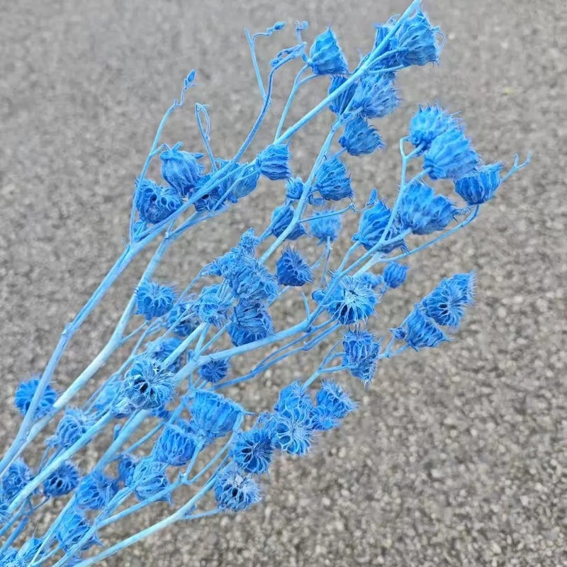 Bluejw Yunnan Dried Flower Rings, Assorted Dried Fruits & Plants for Home Floral Arrangements & Holiday Gift Decor - Image 4