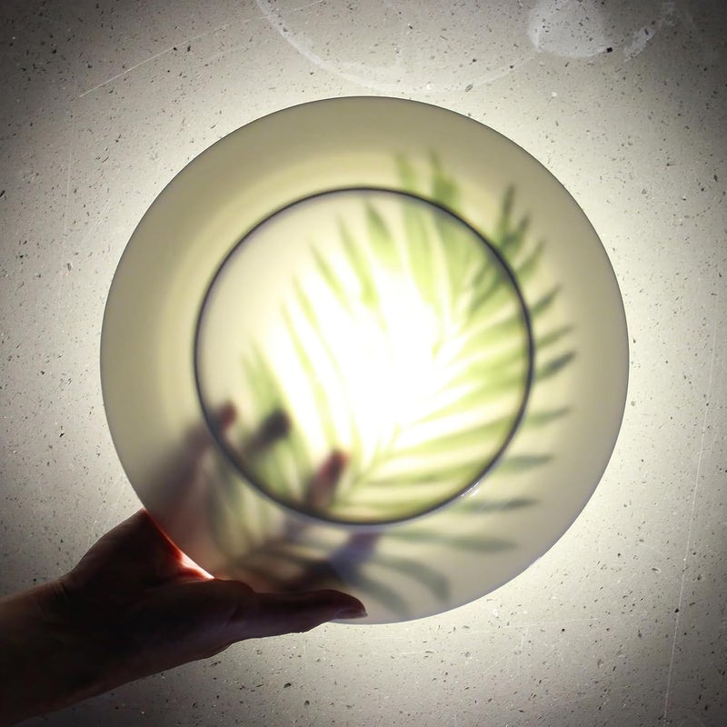 IQCWOOD White Porcelain Dinner Plates Set of 6 105 White Dishes for Pizza Salad Pasta Appetizer Steak Restaurant White Ceramic Plates Set Dinnerware Sets Christmas Gifts - Image 5