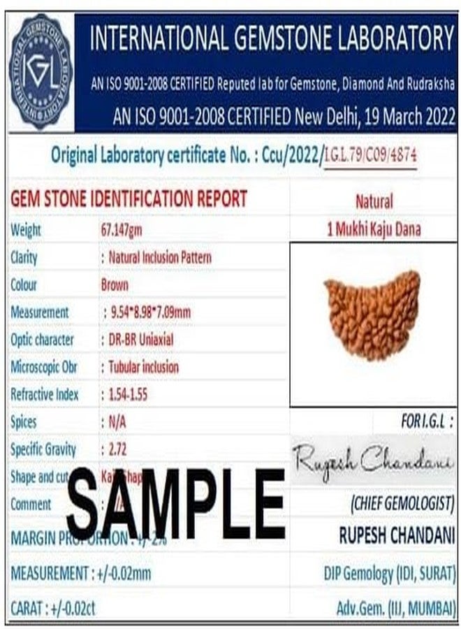 TRINETRA GEMS STONE Natural Half Moon Shaped 1 Mukhi Kaju Dana Rudraksha Nepali Holy Beads One Face Rudraksha Original Certified BY Lab For Men And Women - Image 5