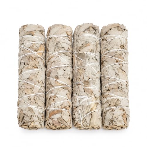 Kriti Creations Sage Bundle (Pack of 4) - Image 1