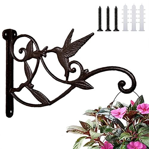 FLORWOD Planter Hooks for Wall, 10 Inch Heavy Duty Outdoor Plant Hangers, Decorative Iron Wall Hooks for Lanterns, Hummingbird Style, 1pc - Image 1