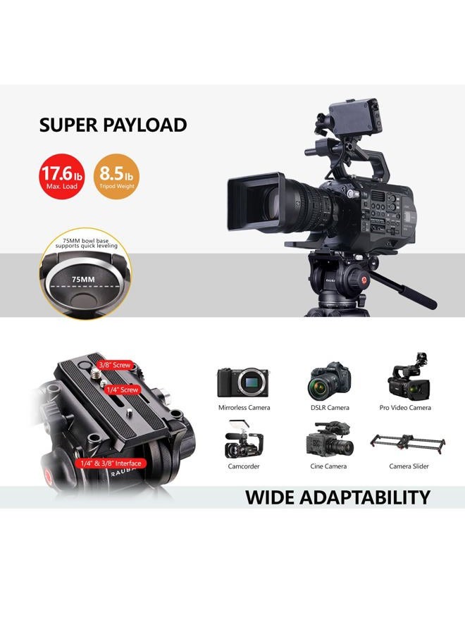 RAUBAY 70.8" Professional Heavy Duty Video Camera Tripod with Fluid Head, QR Plate for DSLR Camcorder, Max Loading 17.6lbs, Aluminum Twin Tube Leg with Metal Mid-Level Spreader DV-1 PRO - Image 5