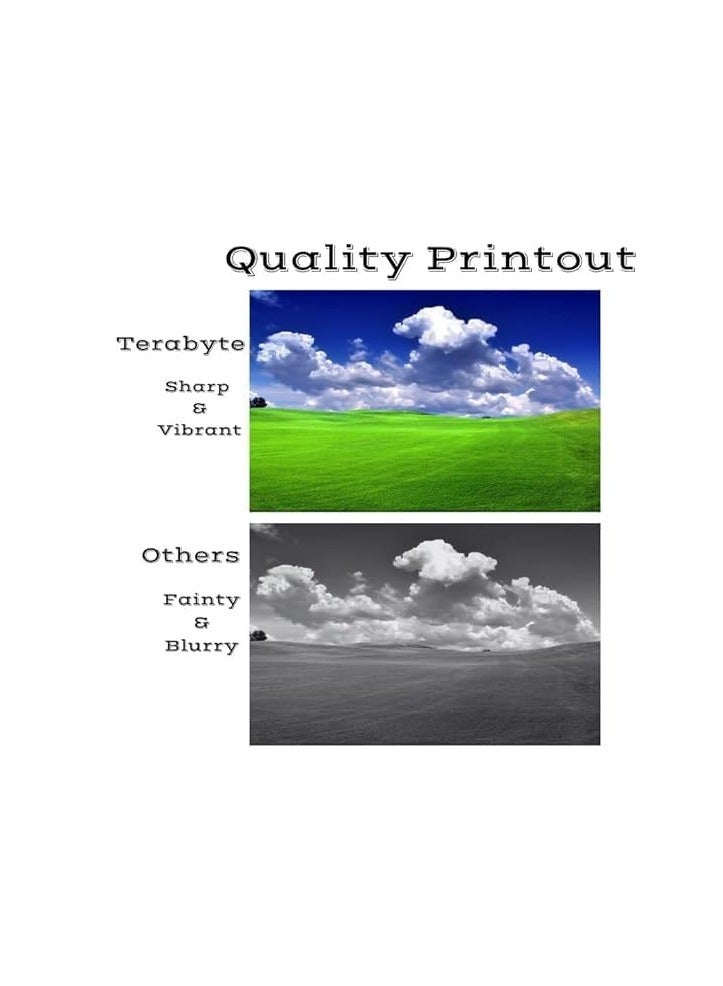 Terabyte Q2612A Compatible Toner Cartridge Black to use with Laserjet 1012 1022 1020 1018 1022N 1010 3015 3050 3030 3052 3055 M1319F Printers - Image 3