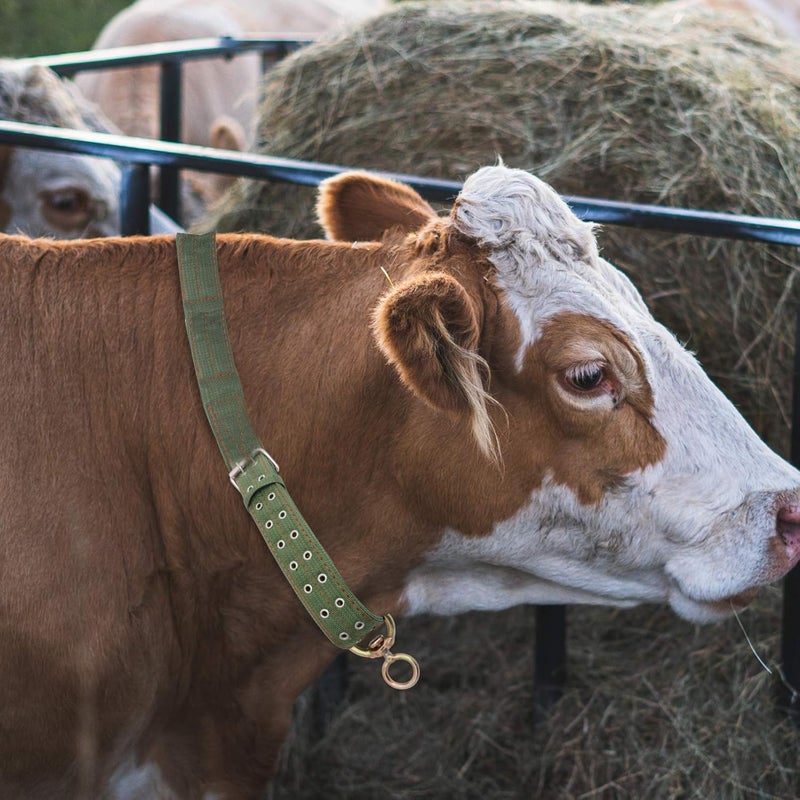 comfrt Calf Traction Necklace Cow Collar Cattle Neck Strap Calf Collar Horse Sheep Goat Neck Rope for Farm Animals Cattle Traction Rope - Image 4