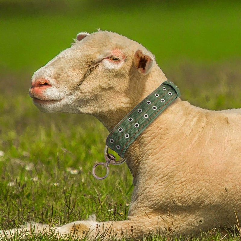 comfrt Calf Traction Necklace Cow Collar Cattle Neck Strap Calf Collar Horse Sheep Goat Neck Rope for Farm Animals Cattle Traction Rope - Image 3