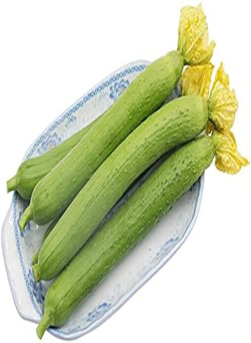 جي جوت 60 قطعة من بذور اللوف السنوية منخفضة التكلفة وسهلة الصيانة لزراعة حديقة الفناء والتراس في الخريف والحصاد والاستمتاع بمتعة المناظر الطبيعية الرعوية - Image 2