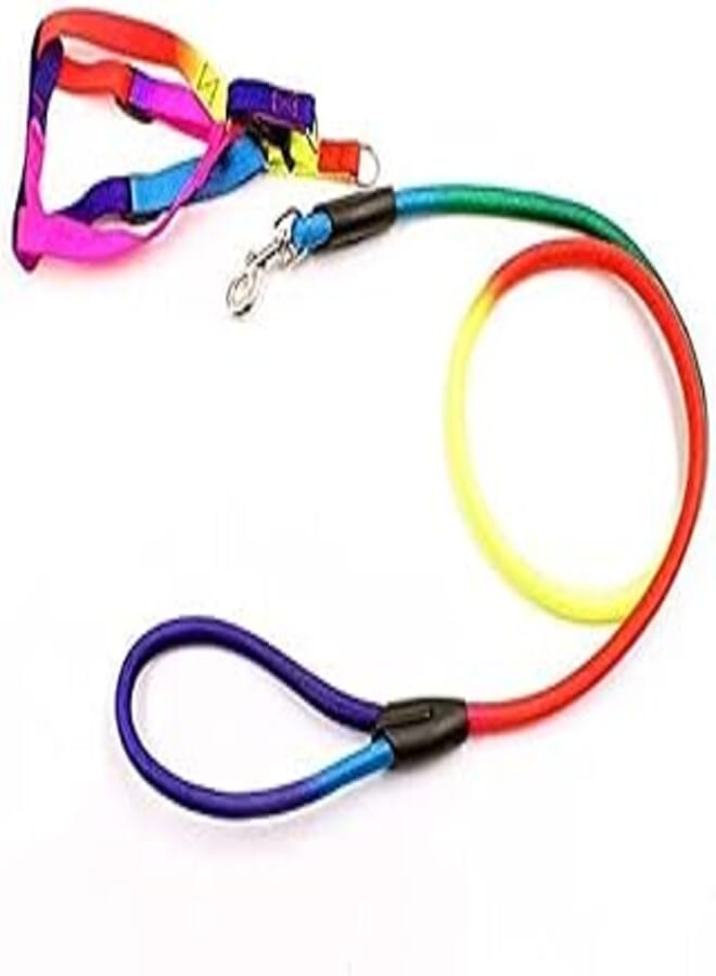 Dog Harness and Leash -Rainbow -Small