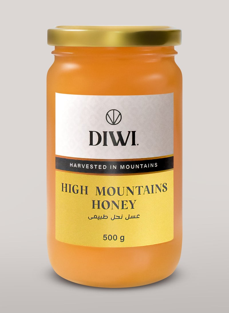 DIWI High Mountains Honey 500g - Image 1