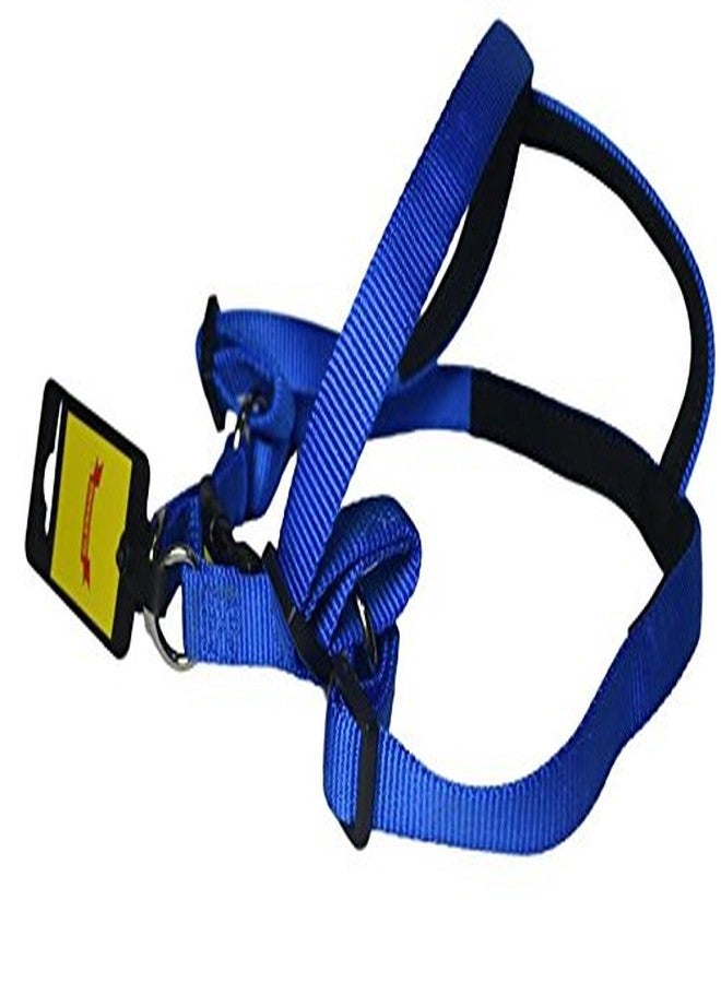 Glenand Harness 1 Inch Blue Colour, Large, 100 g