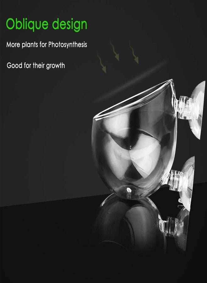 capetsma Carpetsma Aquarium Plant Pot, Glass Fish Tank Plants Holder - Aquarium Planter with 2 Suction Cups for Fish Tank Decor - 1 Pack - Image 3