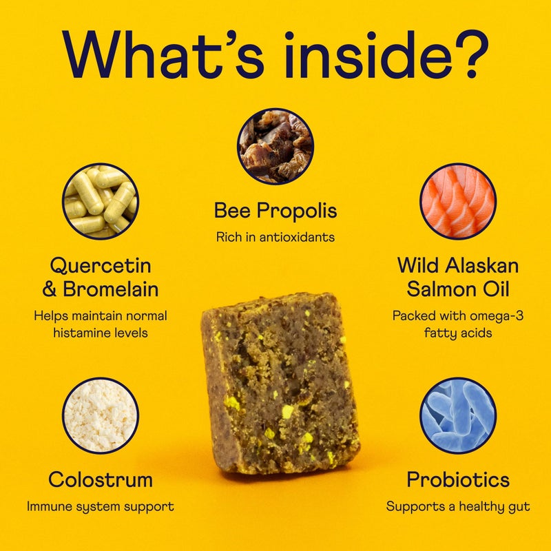 Finn Allergy & Itch for Dogs | Daily Support for Itchy Skin, Immune Health & Seasonal Allergies from Colostrum, Bee Propolis + Probiotics | 90 Soft Chews - Image 3