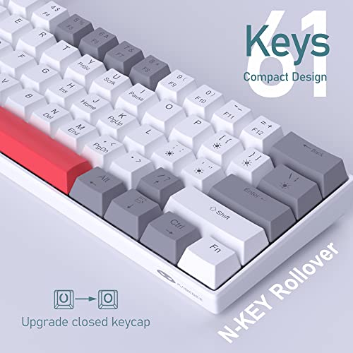 Camiysn 60% Mechanical Gaming Keyboard,Mixed Color Keycaps Gaming Keyboard with Red Switches, Detachable Type-C Cable Mini Keyboard with Blue LED Light for PC/Laptop - Image 3