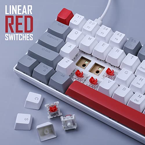 Camiysn 60% Mechanical Gaming Keyboard,Mixed Color Keycaps Gaming Keyboard with Red Switches, Detachable Type-C Cable Mini Keyboard with Blue LED Light for PC/Laptop - Image 2