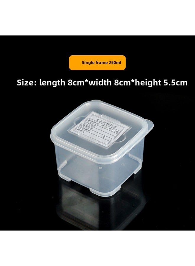 School Kindergarten Food Sample Box Restaurant Canteen Food Sample Small Size Preservation Box Plastic Sample Box-Specifications:Single Frame 250ml  - Image 1