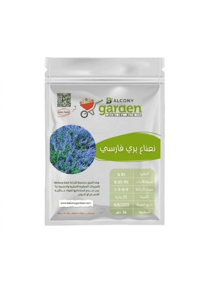 Imported Persian wild mint seeds (25 seeds) - Excellent quality for home and garden cultivation, carefully packaged