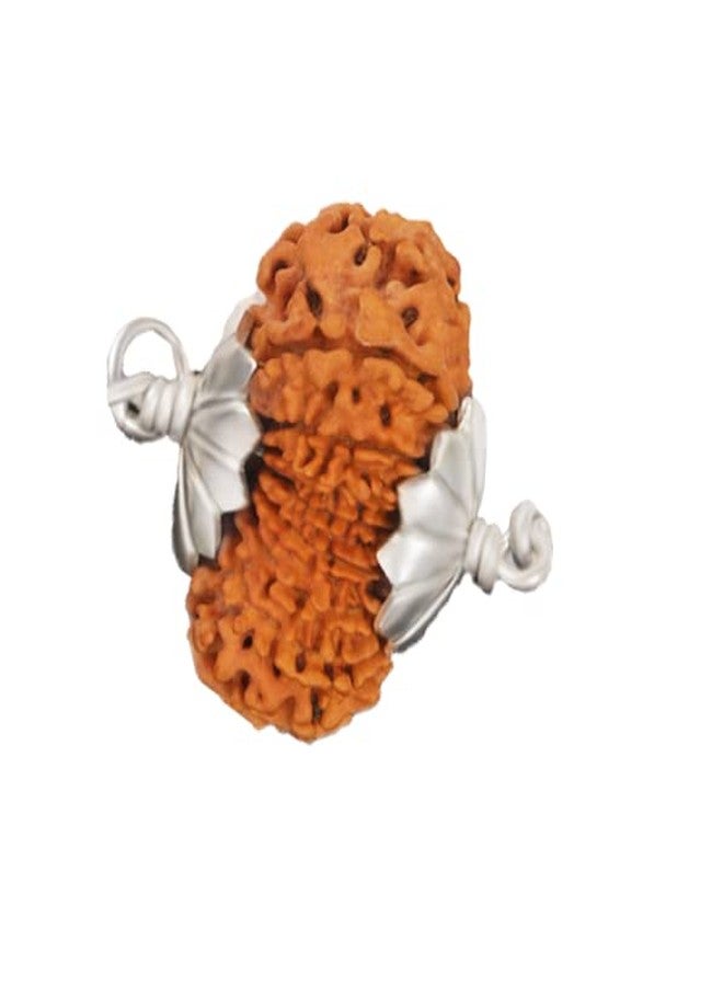 IRIS GEMS 17 Mukhi Rudraksha Original Certified 27mm With Silver Capping 17 Face Rudraksha Nepal Satrah Mukhi For Men Women 17 Faced - Image 2