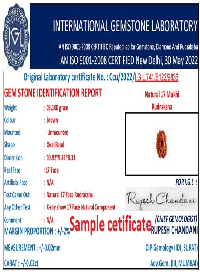 IRIS GEMS 17 Mukhi Rudraksha Original Certified 27mm With Silver Capping 17 Face Rudraksha Nepal Satrah Mukhi For Men Women 17 Faced - Image 4