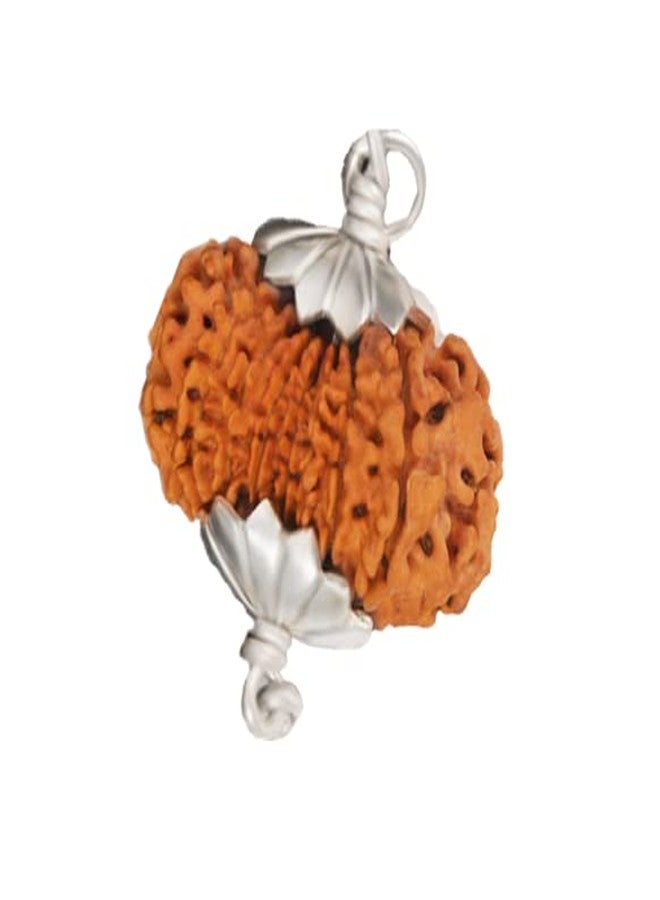 IRIS GEMS 17 Mukhi Rudraksha Original Certified 27mm With Silver Capping 17 Face Rudraksha Nepal Satrah Mukhi For Men Women 17 Faced - Image 1
