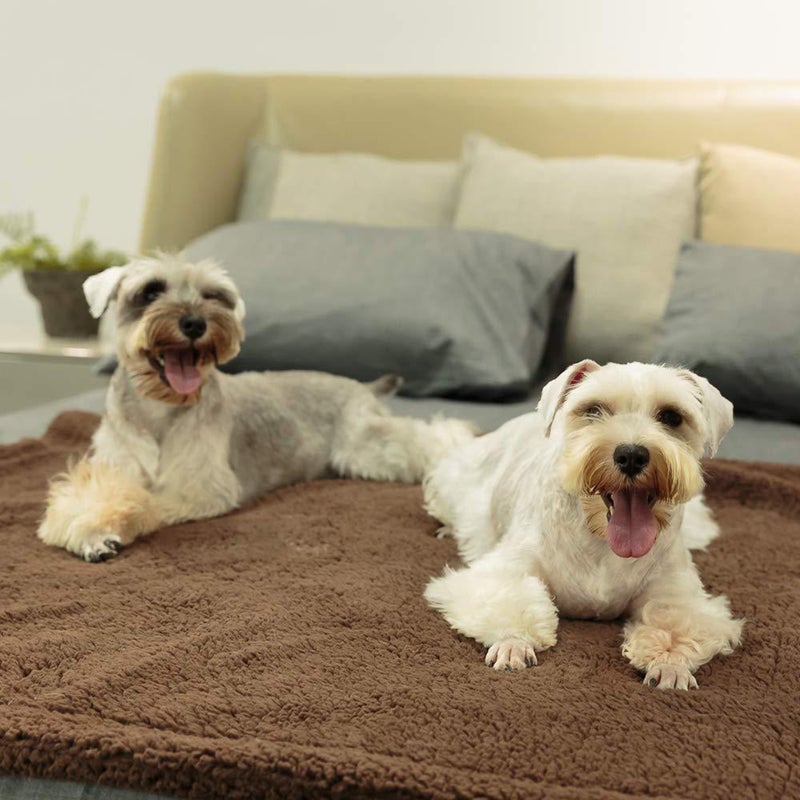 2pcs Comfortable Plush Dog and Cat Blanket Cushion Sleep Mat Size - Image 5