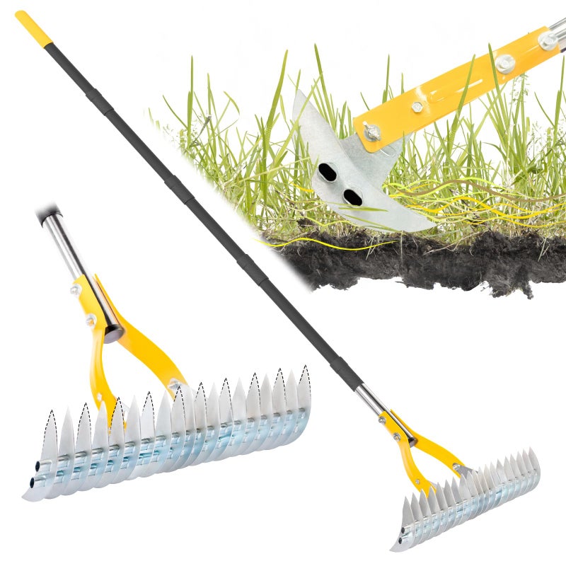 BlumeTrec Thatch Rake for Lawn with 74inch Handle, 15 inch Dethatcher Rake for Grass to Cleaning Dead Grass, Efficient Steel Metal Rake for Dethatching, Heavy Duty Thatching Rakes for Garden, Yard - Image 1