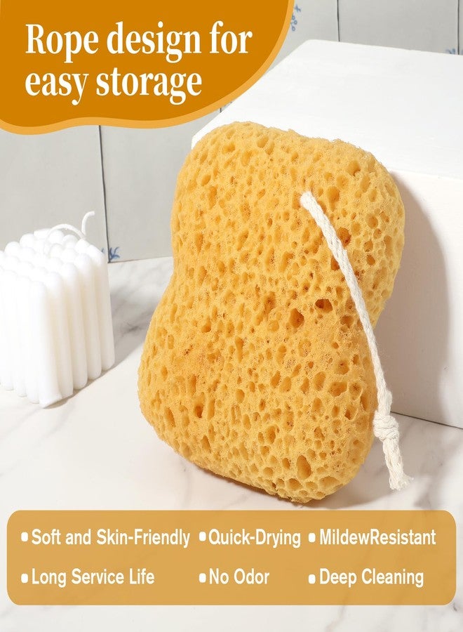 Zelphvt 3 Pcs Sea Sponges for Shower, Larger Natural Sponges for Body Women Men Exfoliating Body Wash Sponge Gentle Deep Cleansing, Ultra-Soft - Image 3