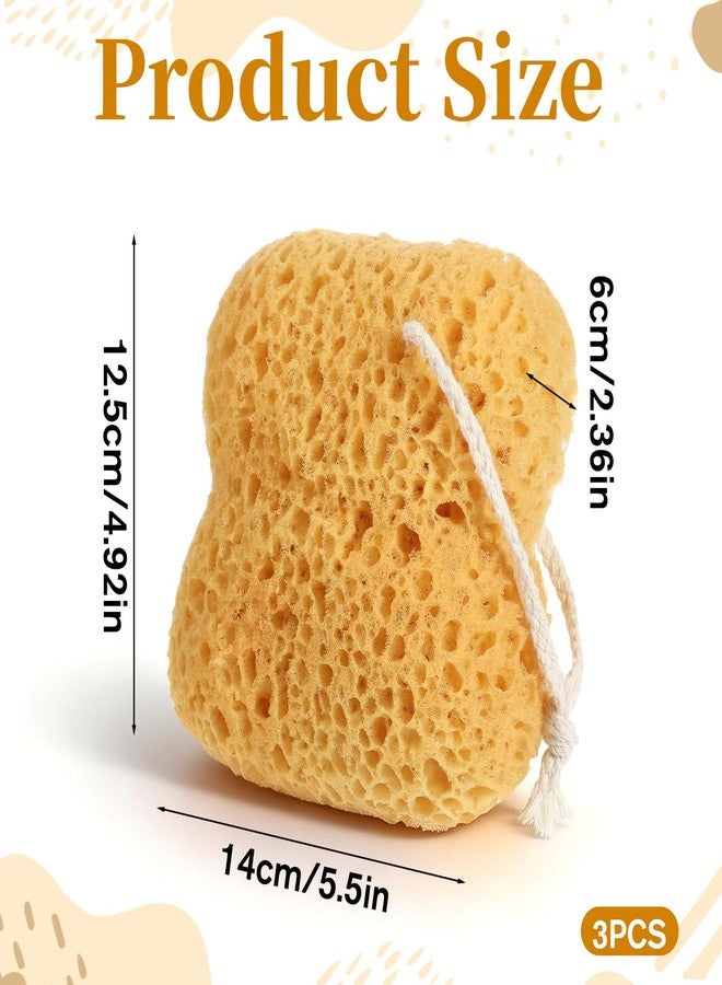 Zelphvt 3 Pcs Sea Sponges for Shower, Larger Natural Sponges for Body Women Men Exfoliating Body Wash Sponge Gentle Deep Cleansing, Ultra-Soft - Image 2